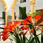 Appartamento Fabuloso Loft En Centro Historico De Con Parking Bajo Reserva Tendillas Mezquita-catedral *