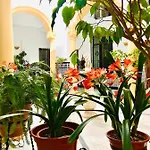 Fabuloso Loft En Centro Historico De Con Parking Bajo Reserva Tendillas Mezquita-catedral Appartamento *