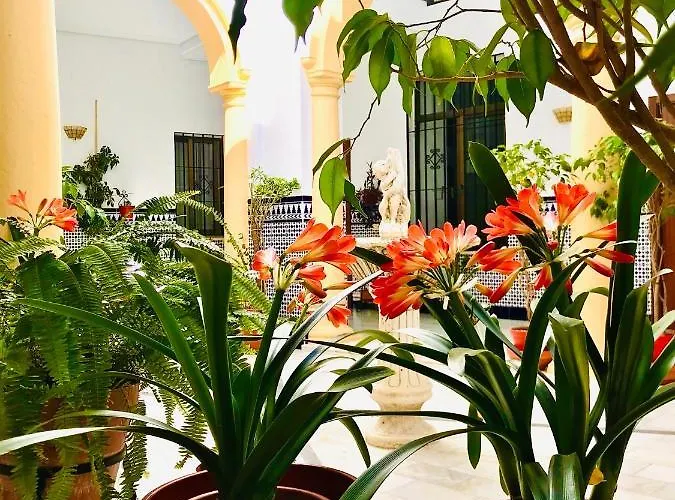 Fabuloso Loft En Centro Historico De Con Parking Bajo Reserva Tendillas Mezquita-catedral 公寓 *