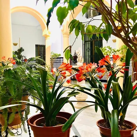 Fabuloso Loft En Centro Histórico De Córdoba. Tendillas-mezquita-catedral. Apartamento *