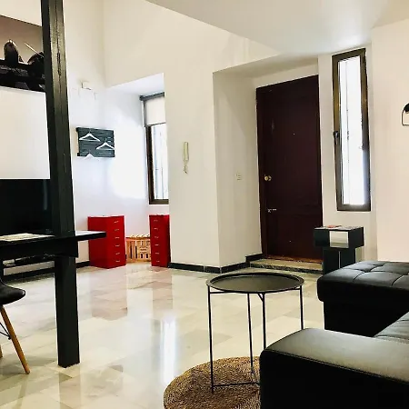 Fabuloso Loft En Centro Histórico De Córdoba. Tendillas-mezquita-catedral. Apartamento