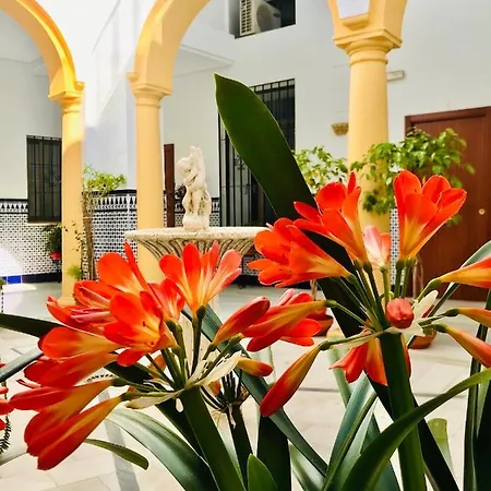 Apartman Fabuloso Loft En Centro Historico De Con Parking Bajo Reserva Tendillas Mezquita-catedral *