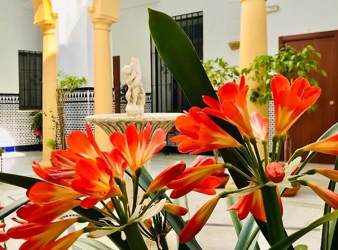 Apartmán Fabuloso Loft En Centro Historico De Con Parking Bajo Reserva Tendillas Mezquita-catedral *